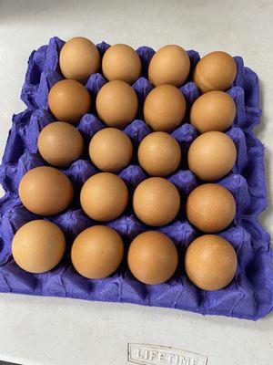 Best Live Poultry & Fish