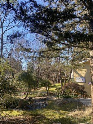 Aesthetic Dental Group