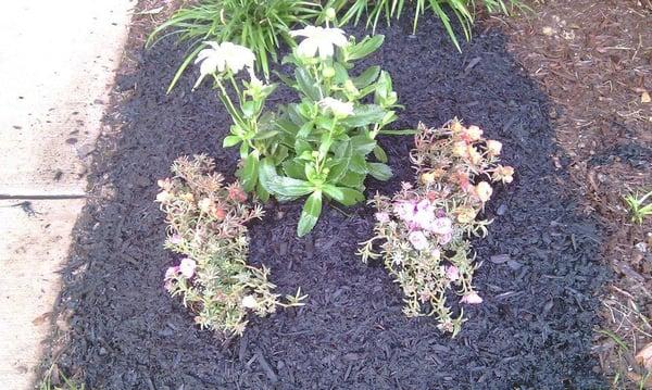 Visionary Lawn Services