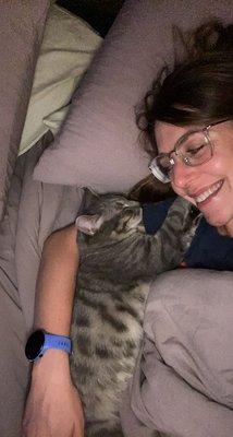 Pat Brody Shelter for Cats