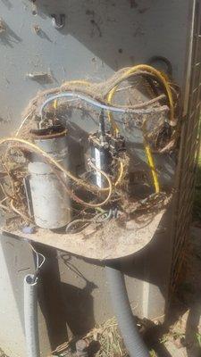 Before - Maintenance