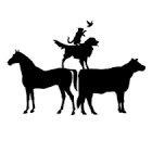 Pelican Rapids Animal Hospital