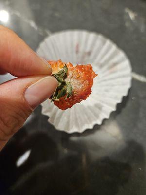 Kilwins Ice Cream - Chocolate - Fudge