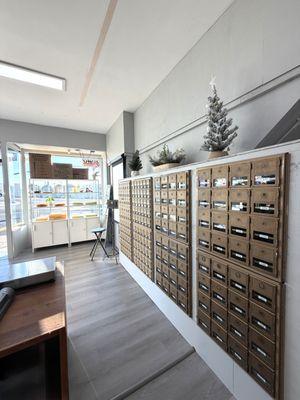 Need a passport photo near me? Here at SHIP DALY CITY, we offer the best passport photo & visa photo experience! Let's take your best one!