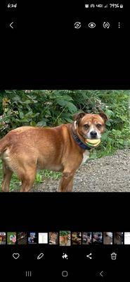 Lower Umpqua Veterinary Clinic