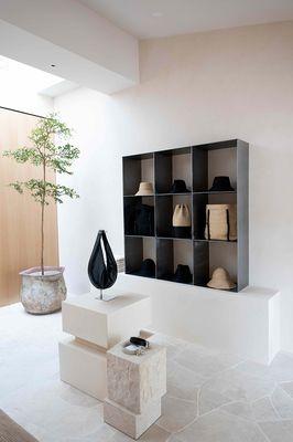 Montecito | Janessa Leoné