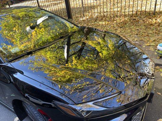 Touchless Rinseless Scratch Free Wash