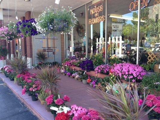 House of Flowers Inc.