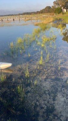 Hardworking Man Services