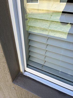 Sparkling Window Cleaner