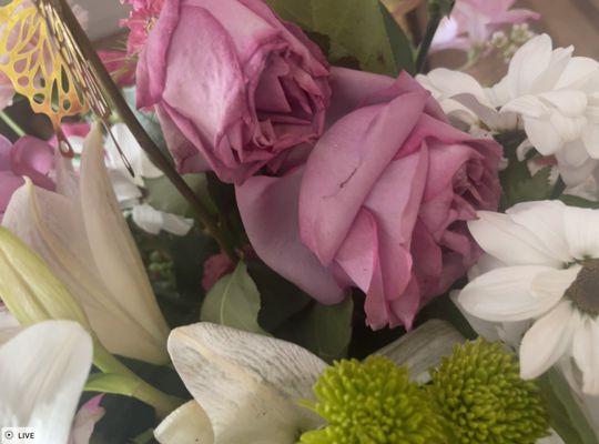 Vannash Florist & Gifts