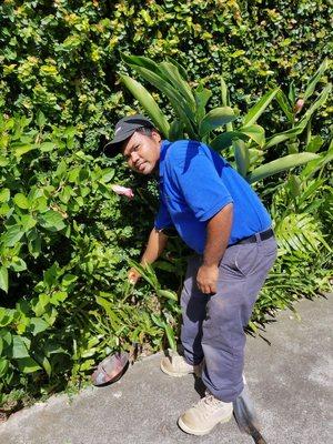 Changing some outdoor lighting