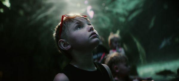 Mallek Film