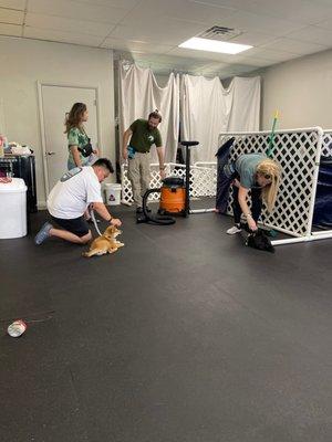 Precocious Puppy training first Saturday.