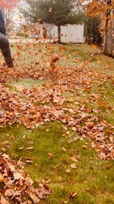 Great View Landscape