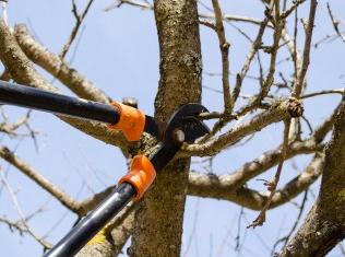 Mr Rogers Tree Service