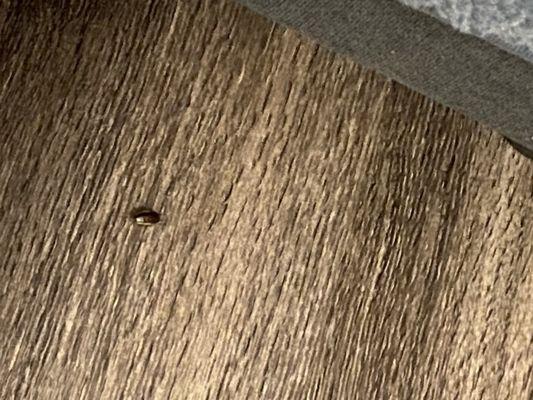 Waterford Place at Riata Ranch