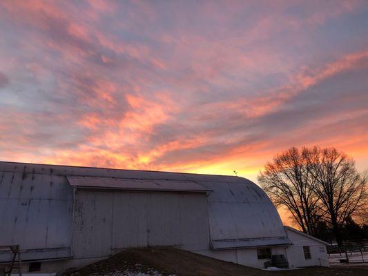 Our Pleasure Stables