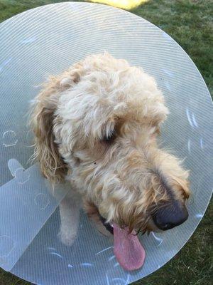 Belchertown Veterinary Hospital