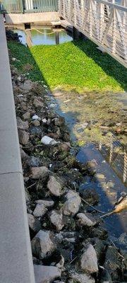 Dock area on water. So much trash you can't see the water