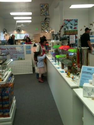 Bug & Reptile Museum