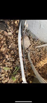 Rasmussen Cleaning Service