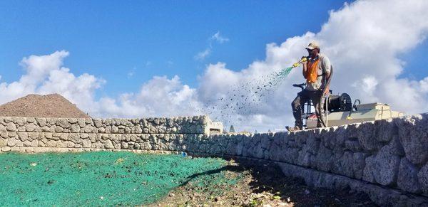 Hawaii Vegetation Control