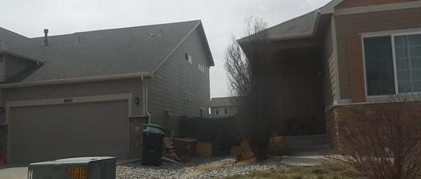 It's great that you get what's in the can... could you also collect the pile of trash these people are collecting behind it?