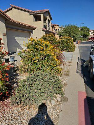 Absolutely Amazing Moving And Landscaping