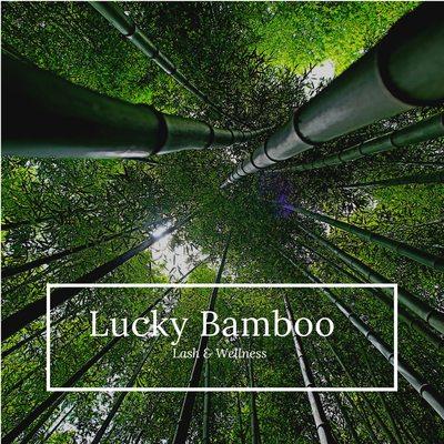 Lucky Bamboo Lash and Wellness