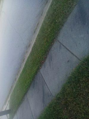 Jason's Handy Service