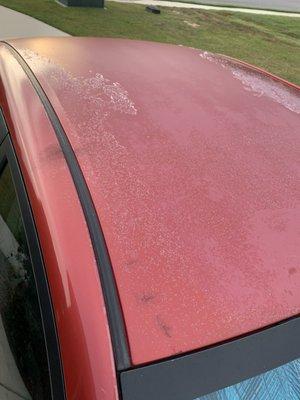 Maaco Auto Body Shop & Painting