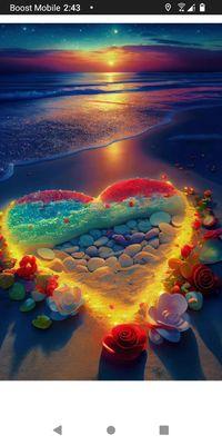 Sunshine Cleaning and Detail Service