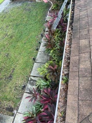 Steve the Transporter & logistics