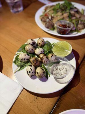 Quail eggs