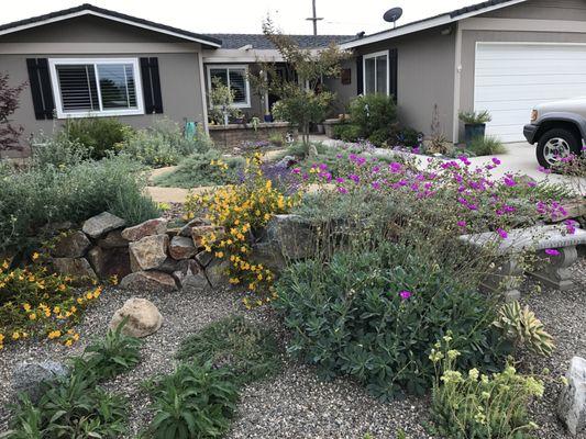 Randall Moore Landscapes