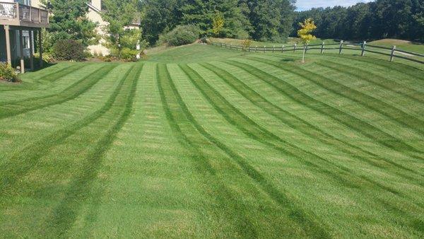 Kenowa Hills Lawncare