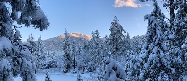 Idyllwild Cabins.com