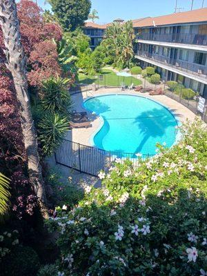 They have cleaned it up well. No more noisy/crazy, loud neighbors.