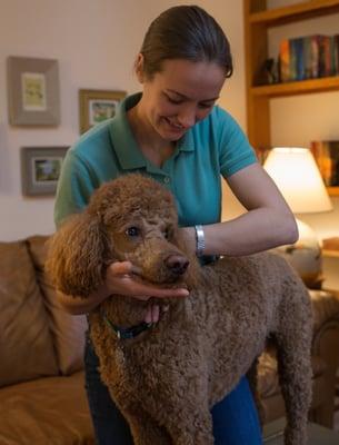 Peak Performance Canine Care, PLLC