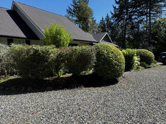 TruPlants Landscape and Paver Services