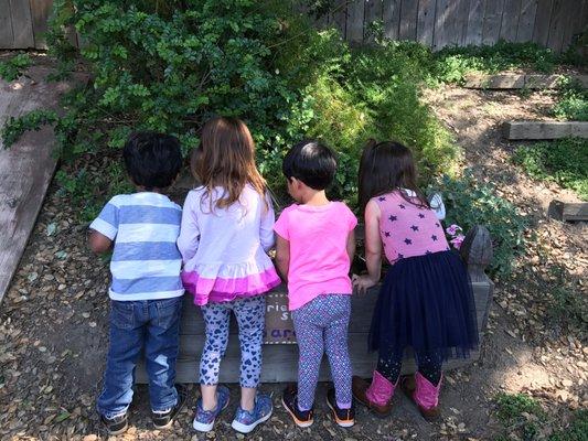 Country Kids Child Care