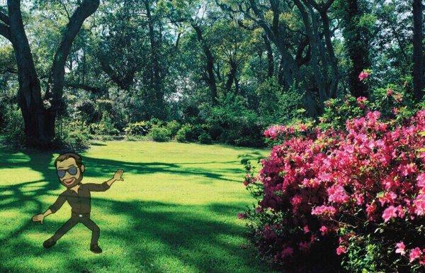 Kickin Grass making your grass beautiful again!