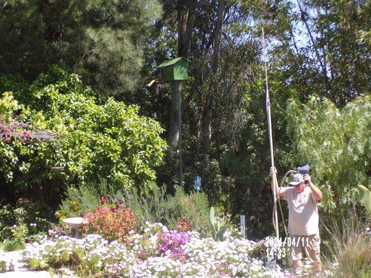 Bemergency Bee Removal