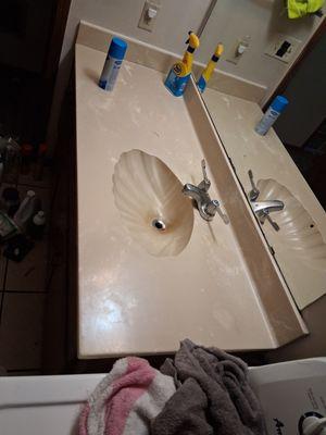 Feral 2 Fresh cleaning service