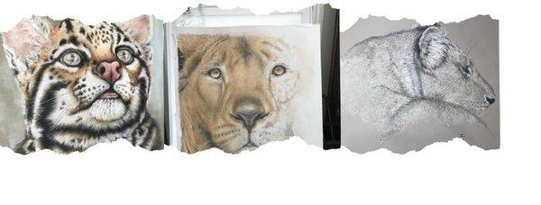 Joanne Ballard Fine Art