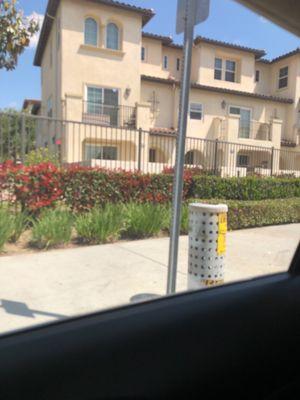 Mona Lisa Apartments