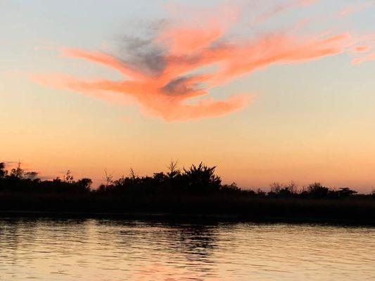 Seas the Day Charters