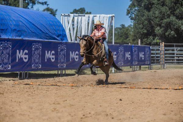Gascon Horsemanship Academy