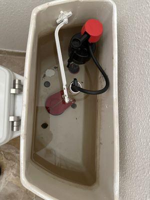 Salinas & Sons Rooter